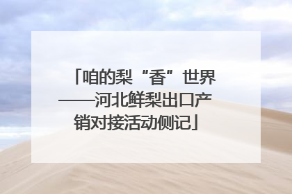 咱的梨“香”世界——河北鲜梨出口产销对接活动侧记