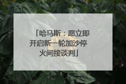 哈马斯：愿立即开启新一轮加沙停火间接谈判