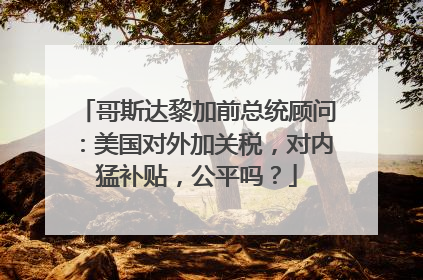 哥斯达黎加前总统顾问：美国对外加关税，对内猛补贴，公平吗？