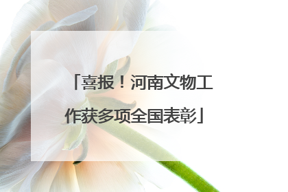喜报！河南文物工作获多项全国表彰