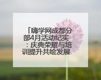 嗨学网成都分部4月活动纪实：庆典荣耀与培训提升共绘发展新蓝图