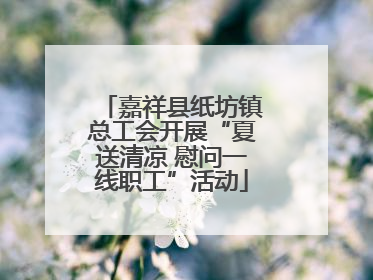嘉祥县纸坊镇总工会开展“夏送清凉 慰问一线职工”活动