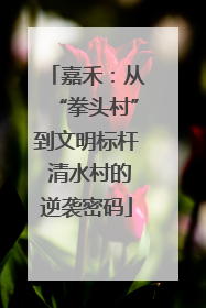 嘉禾：从“拳头村”到文明标杆 清水村的逆袭密码