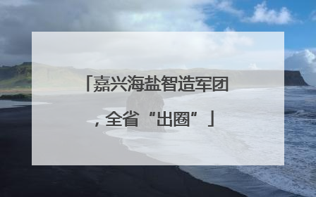 嘉兴海盐智造军团，全省“出圈”