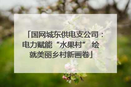 国网城东供电支公司：电力赋能“水果村” 绘就美丽乡村新画卷