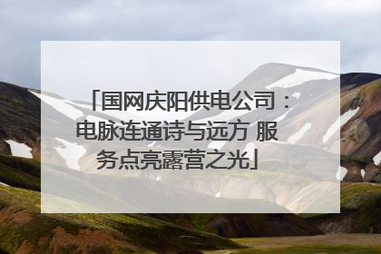 国网庆阳供电公司：电脉连通诗与远方 服务点亮露营之光
