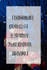 国网衡阳供电公司：主变增容 为度夏供电添保障