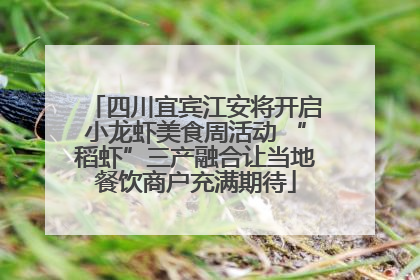 四川宜宾江安将开启小龙虾美食周活动 “稻虾”三产融合让当地餐饮商户充满期待