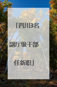 四川3名副厅级干部任新职
