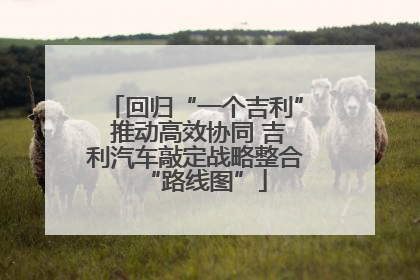 回归“一个吉利” 推动高效协同 吉利汽车敲定战略整合“路线图”