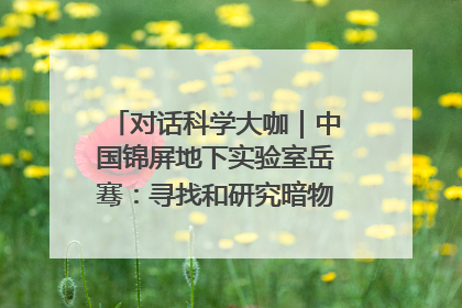 对话科学大咖｜中国锦屏地下实验室岳骞：寻找和研究暗物质，就是要去突破人类的认知边界