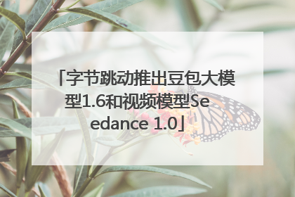 字节跳动推出豆包大模型1.6和视频模型Seedance 1.0