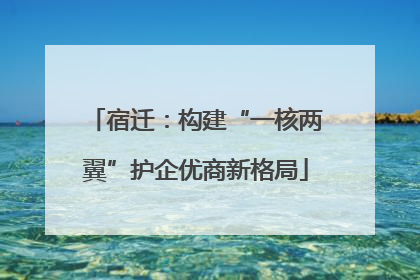 宿迁：构建“一核两翼”护企优商新格局
