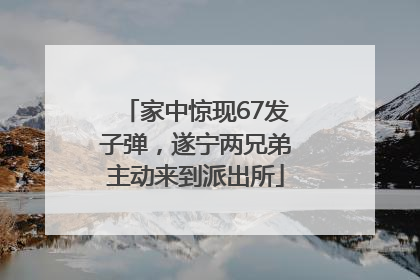 家中惊现67发子弹，遂宁两兄弟主动来到派出所