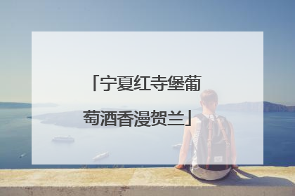 宁夏红寺堡葡萄酒香漫贺兰