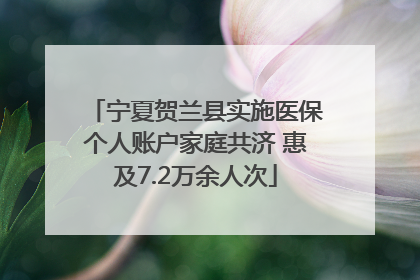 宁夏贺兰县实施医保个人账户家庭共济 惠及7.2万余人次