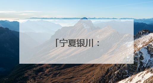 宁夏银川：夏日采茶忙