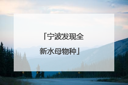 宁波发现全新水母物种