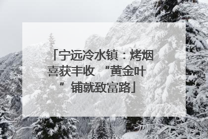 宁远冷水镇：烤烟喜获丰收 “黄金叶”铺就致富路