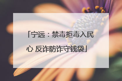 宁远：禁毒拒毒入民心 反诈防诈守钱袋