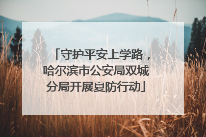 守护平安上学路，哈尔滨市公安局双城分局开展夏防行动