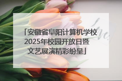 安徽省阜阳计算机学校2025年校园开放日暨文艺展演精彩纷呈