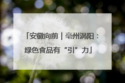 安徽向前｜亳州涡阳：绿色食品有“引”力