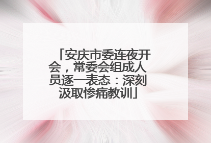 安庆市委连夜开会，常委会组成人员逐一表态：深刻汲取惨痛教训