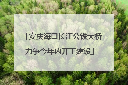 安庆海口长江公铁大桥力争今年内开工建设
