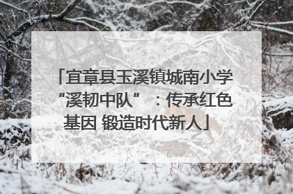 宜章县玉溪镇城南小学“溪韧中队”：传承红色基因 锻造时代新人
