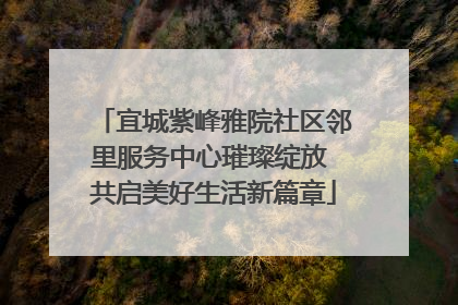 宜城紫峰雅院社区邻里服务中心璀璨绽放 共启美好生活新篇章