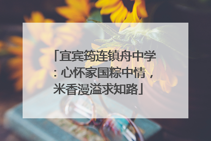 宜宾筠连镇舟中学：心怀家国粽中情，米香漫溢求知路