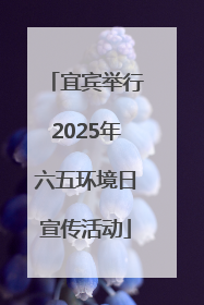 宜宾举行2025年六五环境日宣传活动