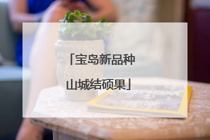 宝岛新品种 山城结硕果