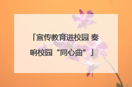 宣传教育进校园 奏响校园“同心曲”