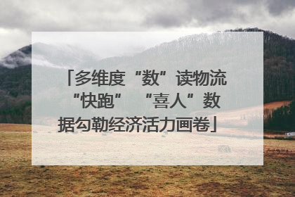 多维度“数”读物流“快跑” “喜人”数据勾勒经济活力画卷
