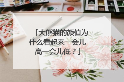 大熊猫的颜值为什么看起来一会儿高一会儿低？