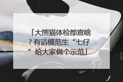 大熊猫体检都查啥？有请模范生“七仔”给大家做个示范