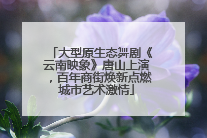 大型原生态舞剧《云南映象》唐山上演，百年商街焕新点燃城市艺术激情