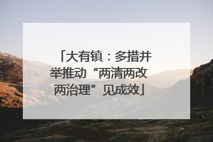 大有镇：多措并举推动“两清两改两治理”见成效