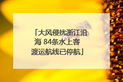 大风侵扰浙江沿海 84条水上客渡运航线已停航