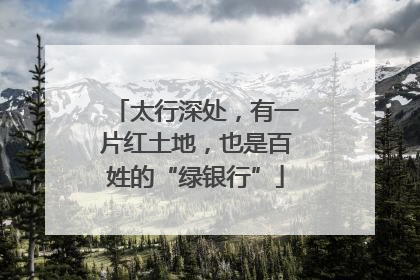 太行深处，有一片红土地，也是百姓的“绿银行”