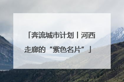 奔流城市计划丨河西走廊的“紫色名片”