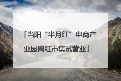 当阳“半月红”电商产业园网红市集试营业