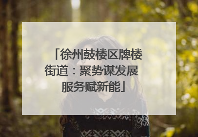 徐州鼓楼区牌楼街道：聚势谋发展 服务赋新能