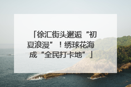 徐汇街头邂逅“初夏浪漫”！绣球花海成“全民打卡地”