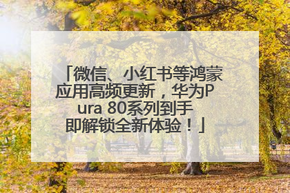 微信、小红书等鸿蒙应用高频更新，华为Pura 80系列到手即解锁全新体验！