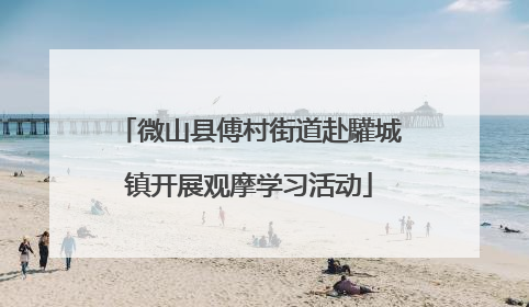 微山县傅村街道赴驩城镇开展观摩学习活动