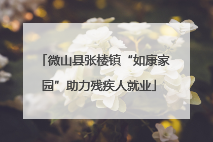 微山县张楼镇“如康家园”助力残疾人就业