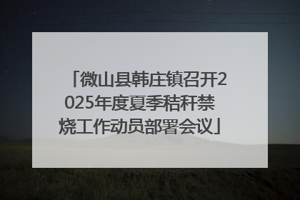 微山县韩庄镇召开2025年度夏季秸秆禁烧工作动员部署会议